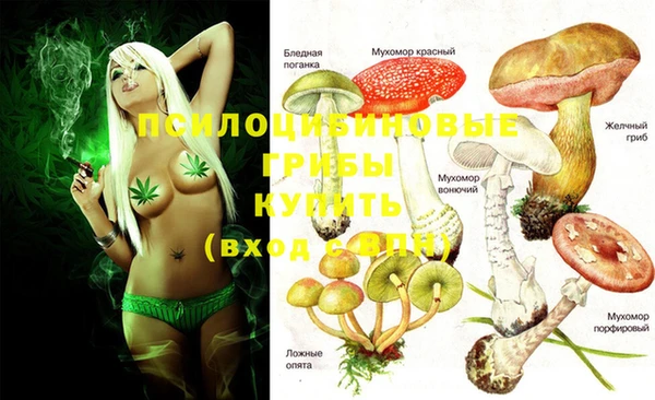 MDMA Premium VHQ Гусь-Хрустальный