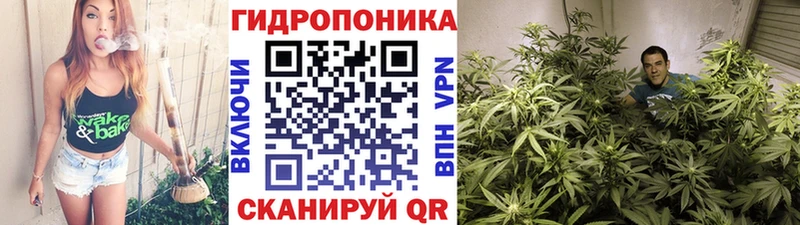 Бошки Шишки семена  Чехов 